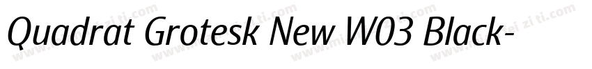 Quadrat Grotesk New W03 Black字体转换
